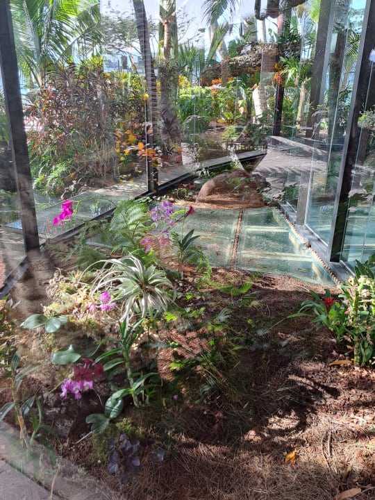 Gartenanlage Hotel Fariones