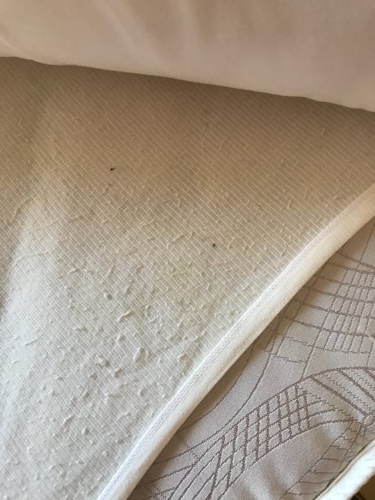 Zimmer Nour Palace Resort & Thalasso