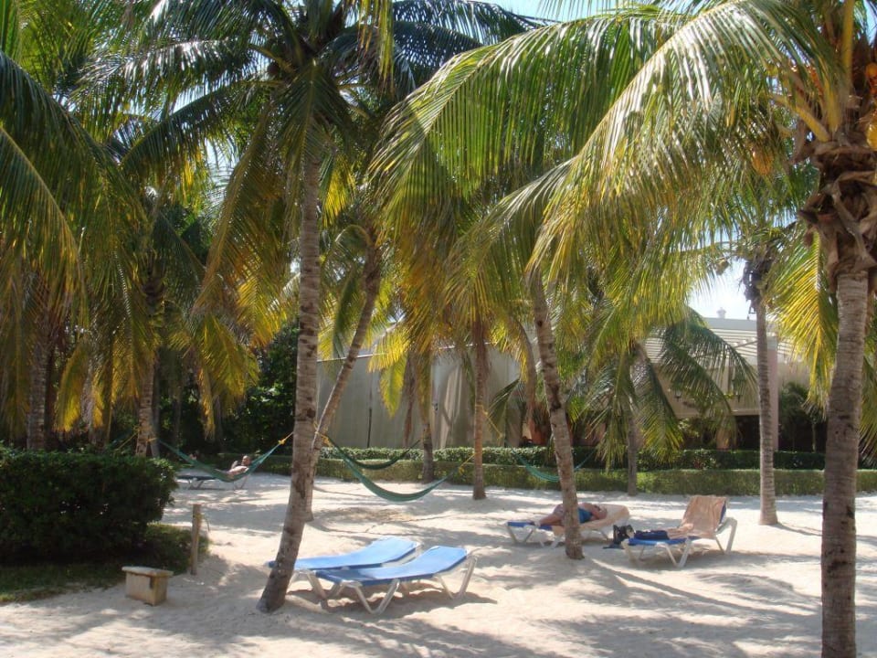 RIU Tequila Hotel Riu Tequila