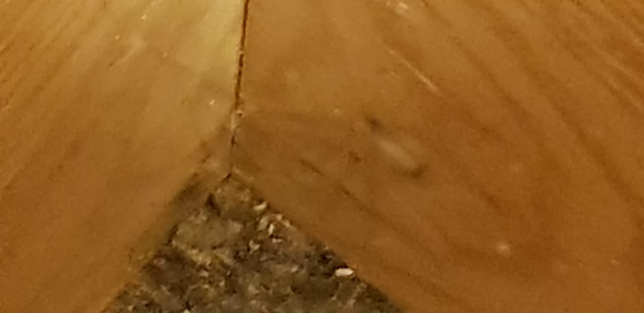 Zimmer Hotel Riu Palace Jandia