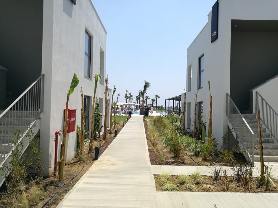 Außenansicht Paloma Finesse