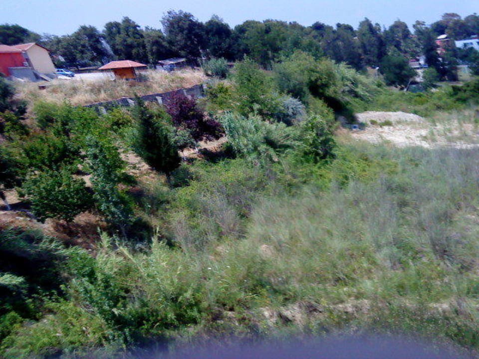 Aussicht von der linken Hotelseite FUN&SUN Smart Hane Sun Hotel