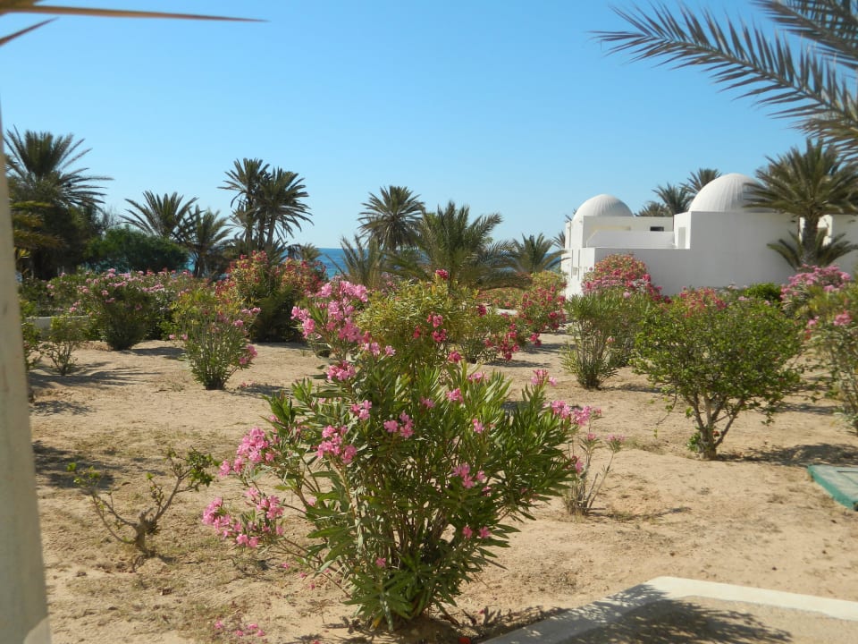 Jardin Hotel El Mouradi Djerba Menzel