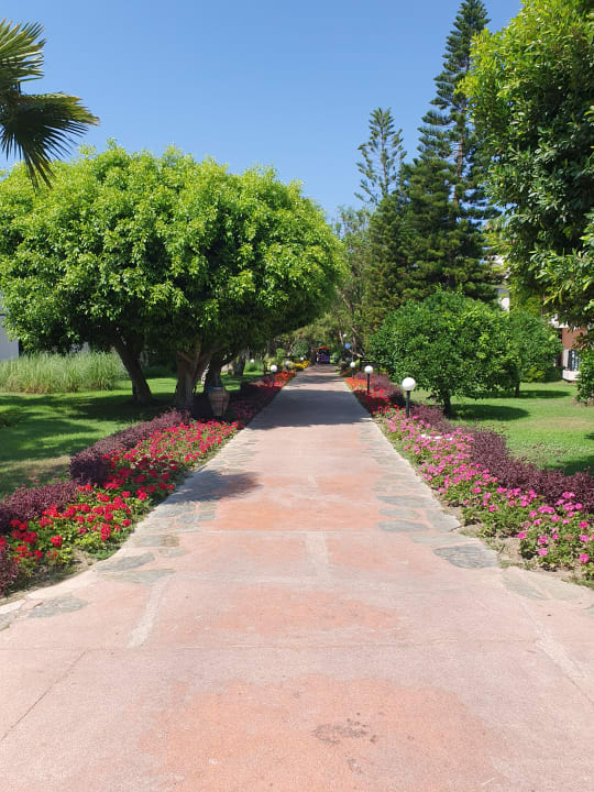 Gartenanlage Starlight Resort Hotel