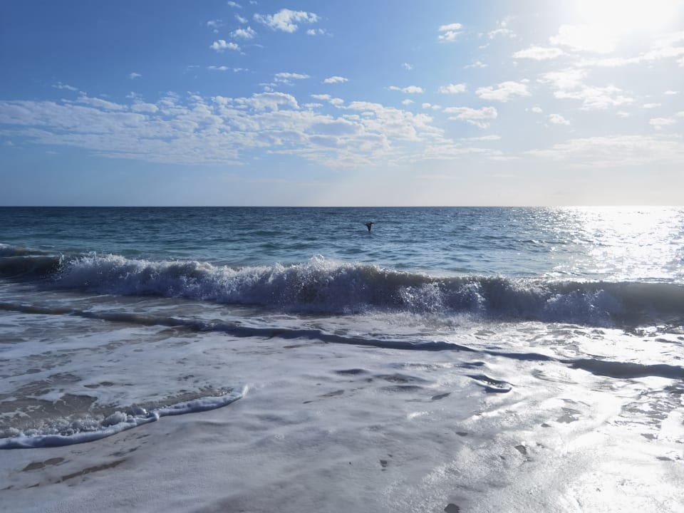 Strand Hotel Riu Dunamar