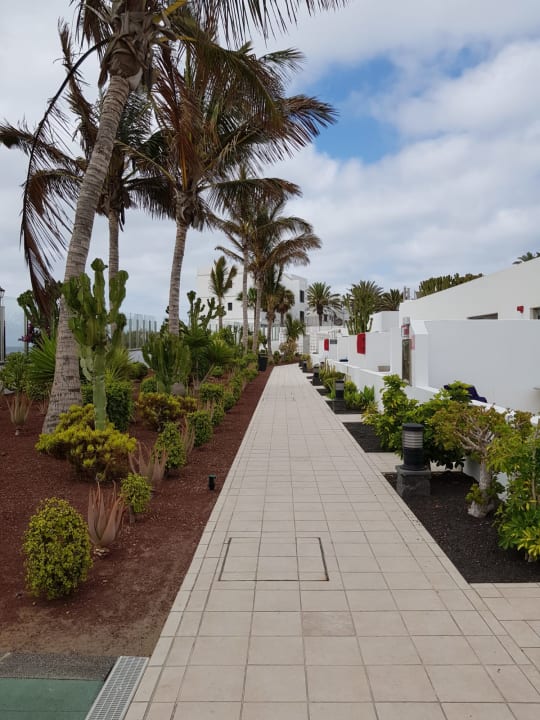Gartenanlage Hotel Las Costas