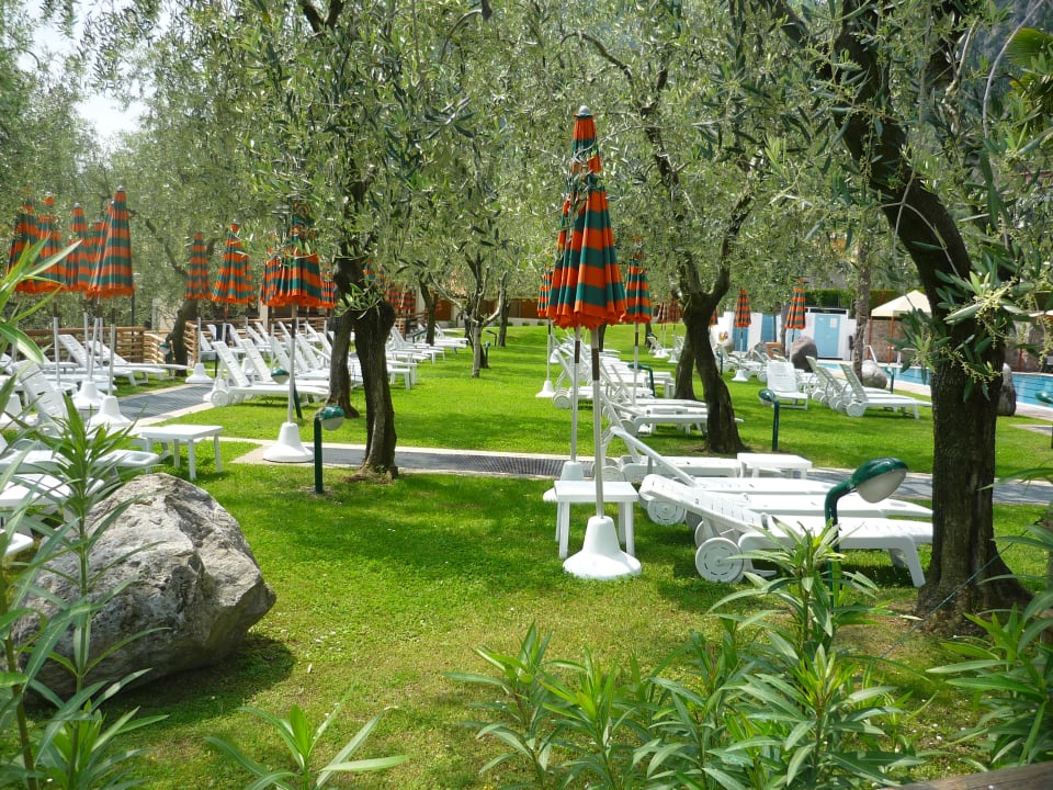 Gartenanlage Hotel Caravel