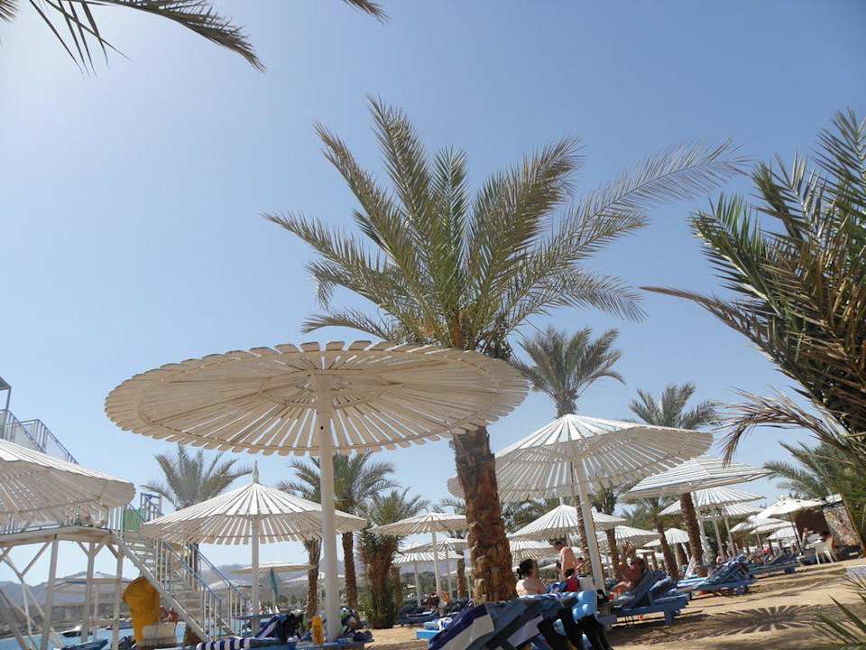 Sonnenschirm am Strand Albatros Sharm Resort