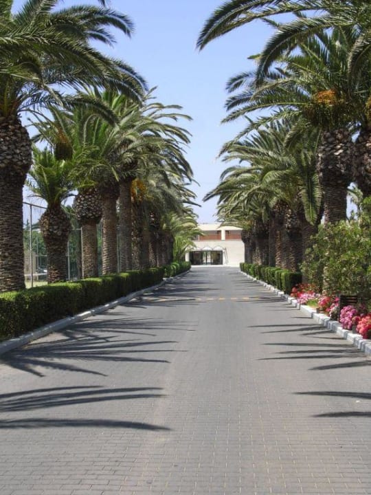 Zufahrt zum Hotel Malia Park Phãea Cretan Malia