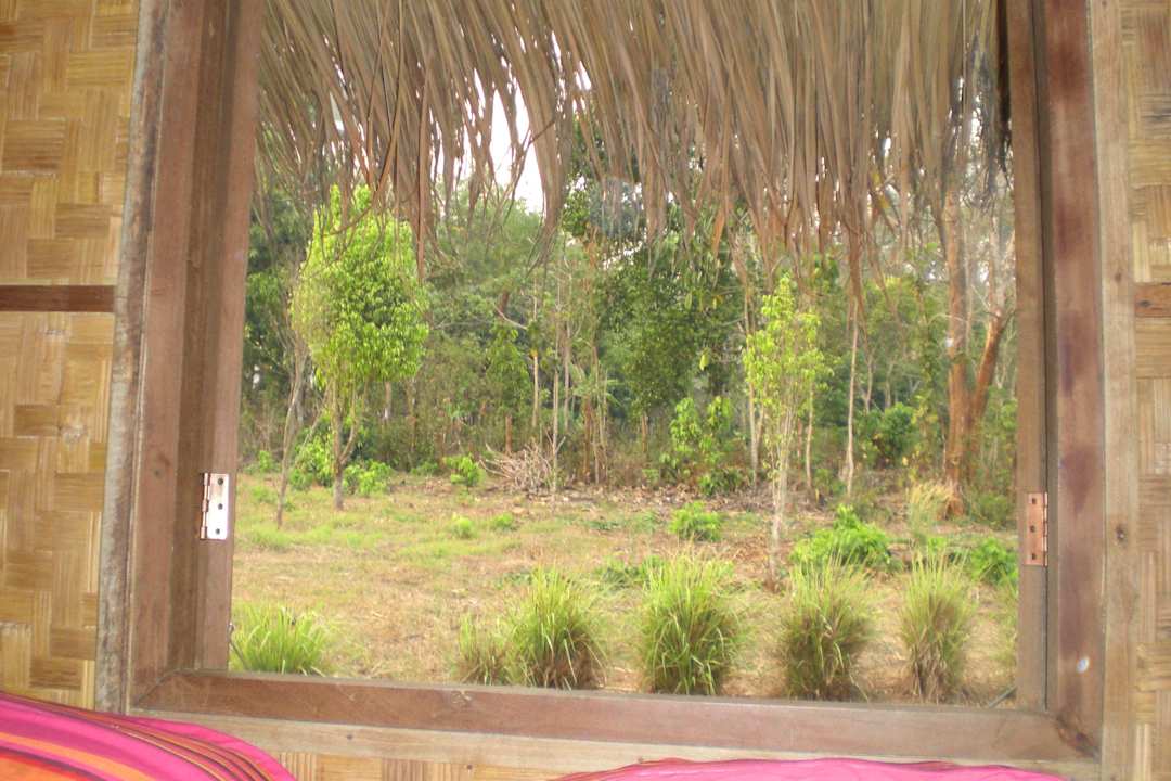 Ausblick aus dem hinteren Fenster Hotel Lisu Lodge