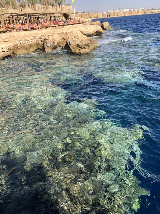 Strand The Grand Hotel Sharm El Sheikh
