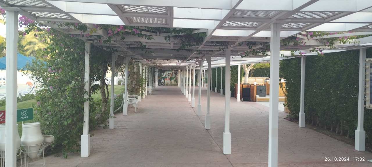 Gartenanlage Desert Rose