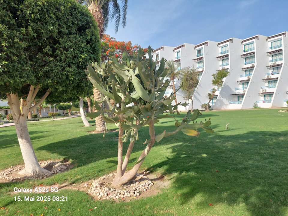 Gartenanlage Shams Safaga Resort