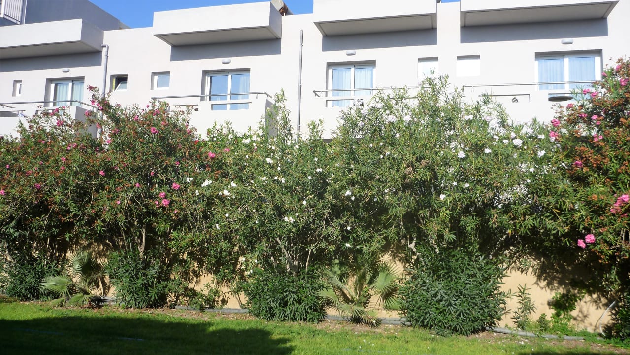 Außenansicht Santa Marina Beach