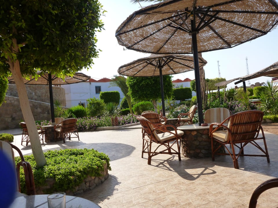 Mittagessen möglich Hotel Coral Garden