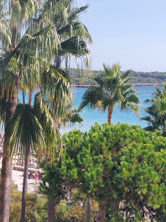Ausblick Hipotels Mediterraneo