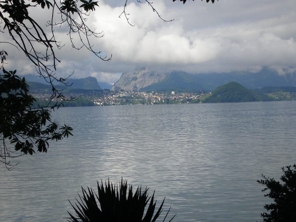 Abendstimmung auf den Thunersee Beatus Wellness- & Spa-Hotel