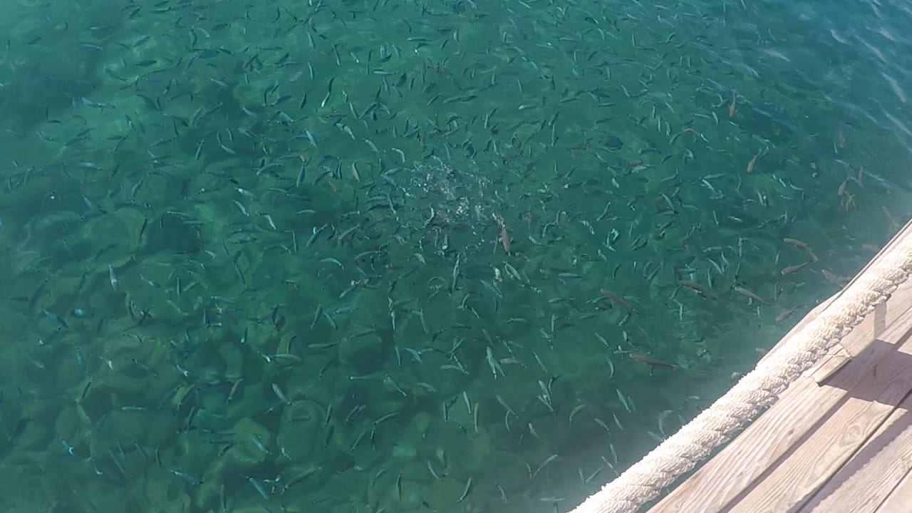 Strand VONRESORT Golden Coast