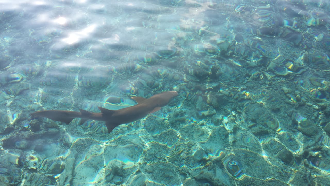 Sport & Freizeit Eri Maldives