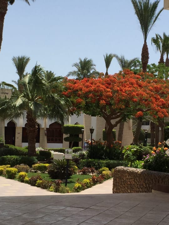 Gartenanlage Regina Resort and Aqua Park Hurghada