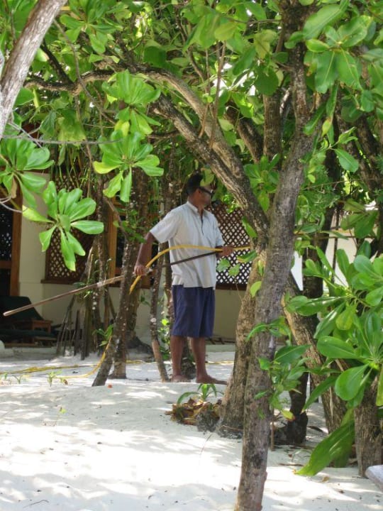 Insektenbekämpfung Reethi Beach Resort