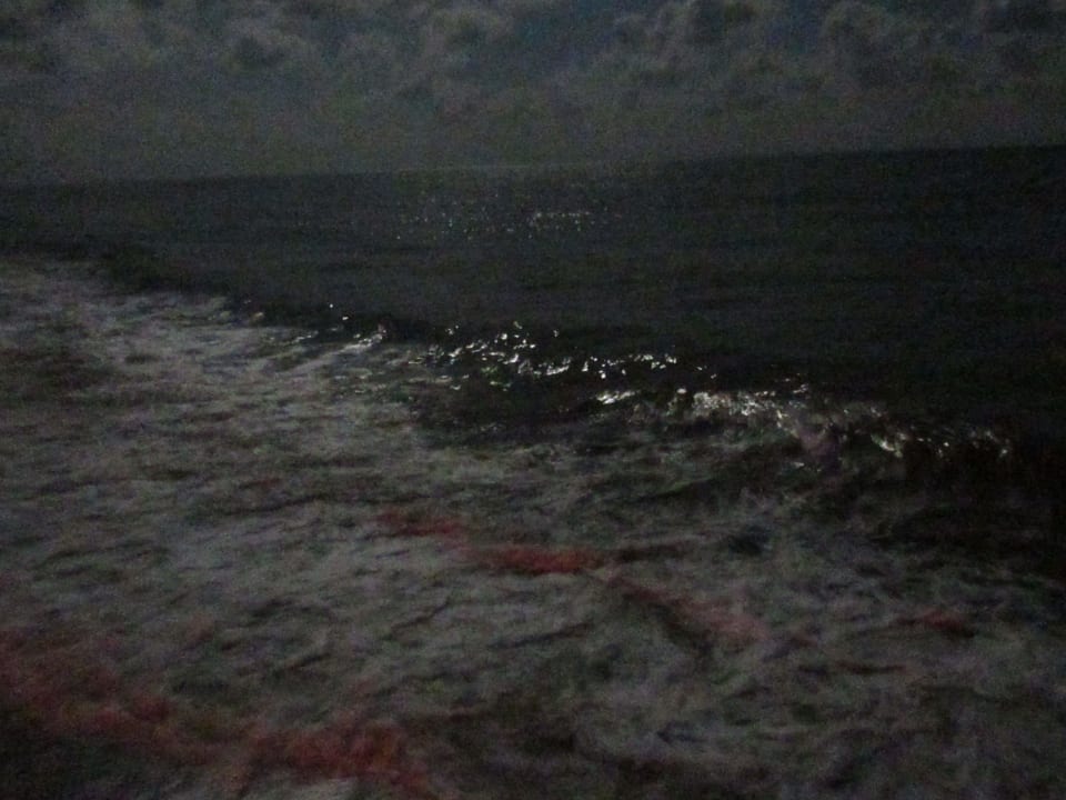 Пляж ночью Port Nature Luxury Resort & Spa