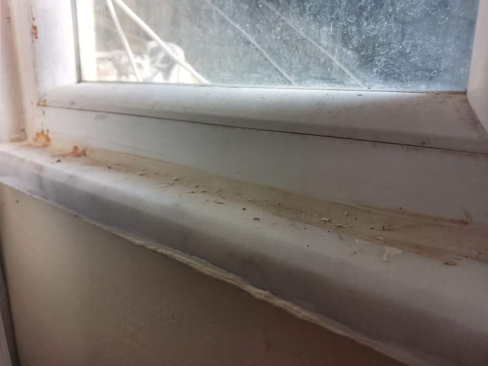 Zimmer Prenses Sealine Beach Hotel