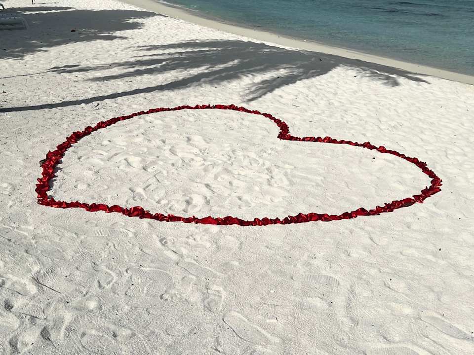 Strand Brennia Kottefaru