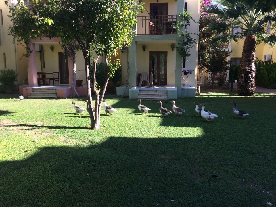 Gartenanlage VONRESORT Golden Beach