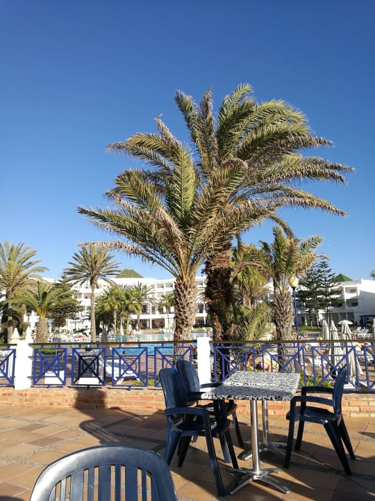 Poolbar Iberostar Waves Founty Beach