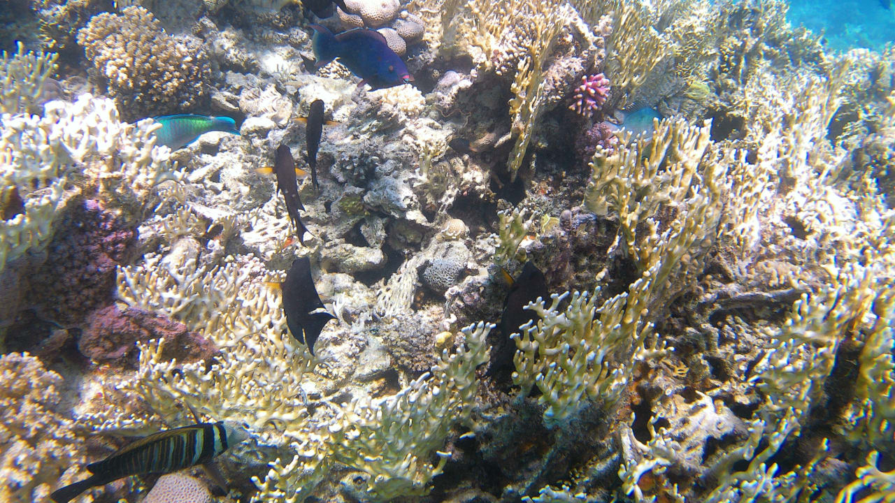 Sport & Freizeit Makadi Spa - Adults only