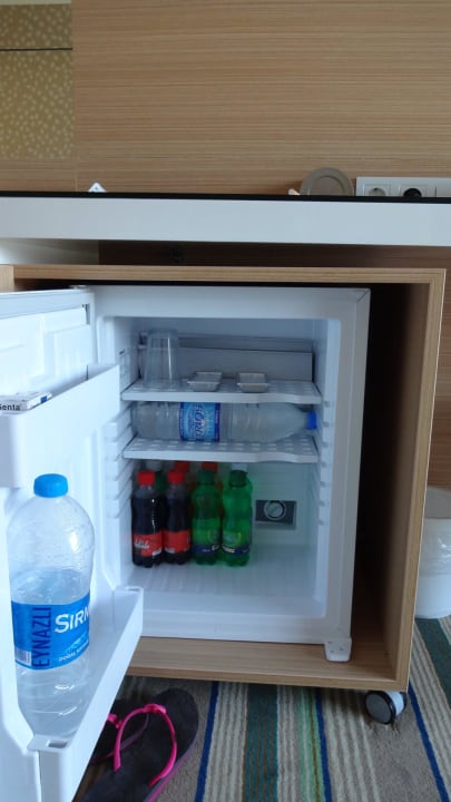 Minibar Hotel Royal Garden Beach