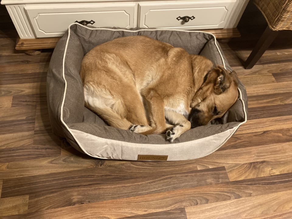 Sonstiges Montara Suites Bodenmais