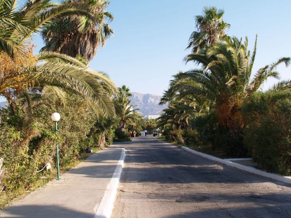 Weg vom Strand zum Hotel Hotel Tigaki Beach