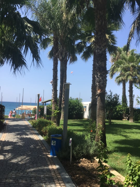 Garten Arycanda Kirman Premium