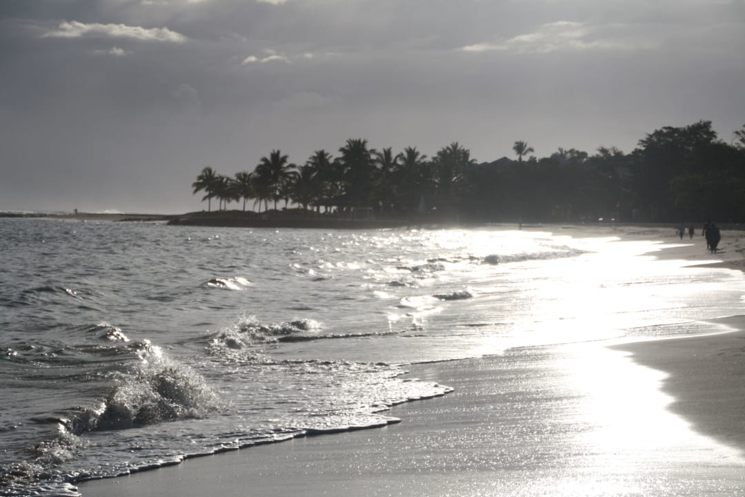Perfekt zum entspannen, direkt am Hotel Grand Paradise Playa Dorada