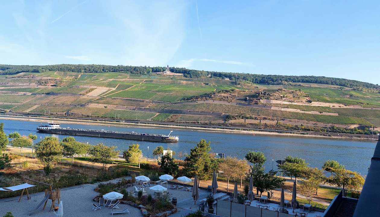 Ausblick PAPA RHEIN - Hotel & Spa