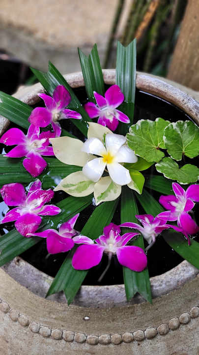 Gartenanlage Santhiya Koh Phangan Resort & Spa