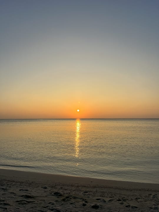 Ausblick Summer Island Maldives