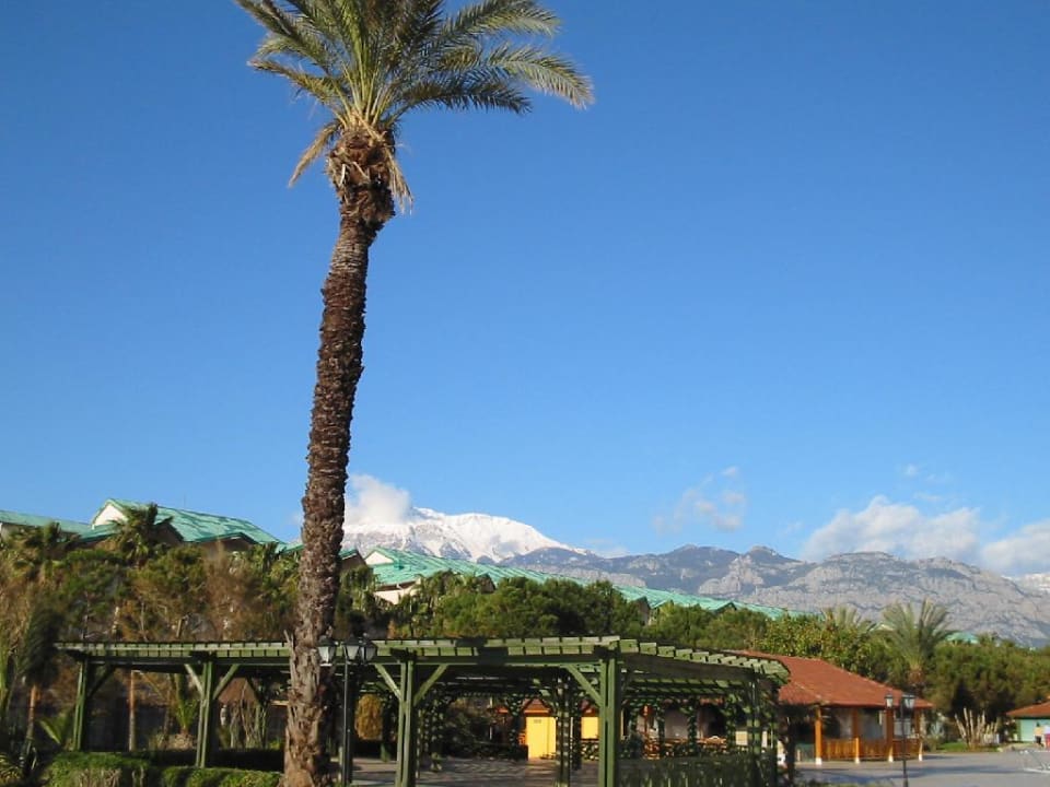 Einfach nur schön! Akka Alinda Hotel