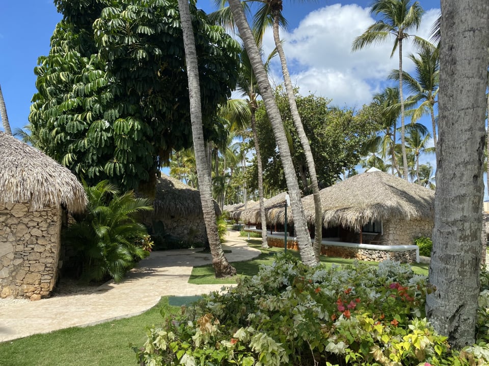 Außenansicht Hotel Viva Dominicus Beach by Wyndham - All Inclusive Resort