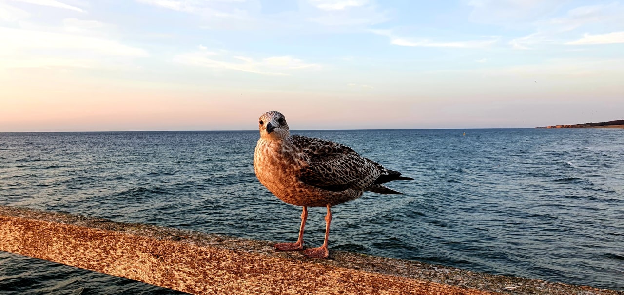 Strand Ferienwohnungen Ferienpark Weissenhäuser Strand