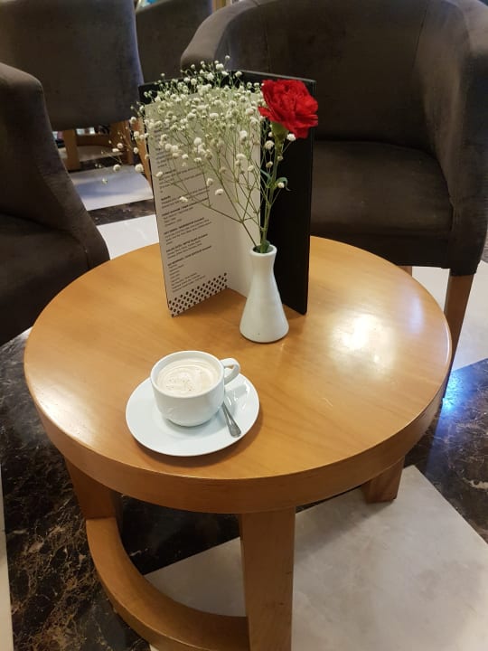 Gastro Papillon Ayscha