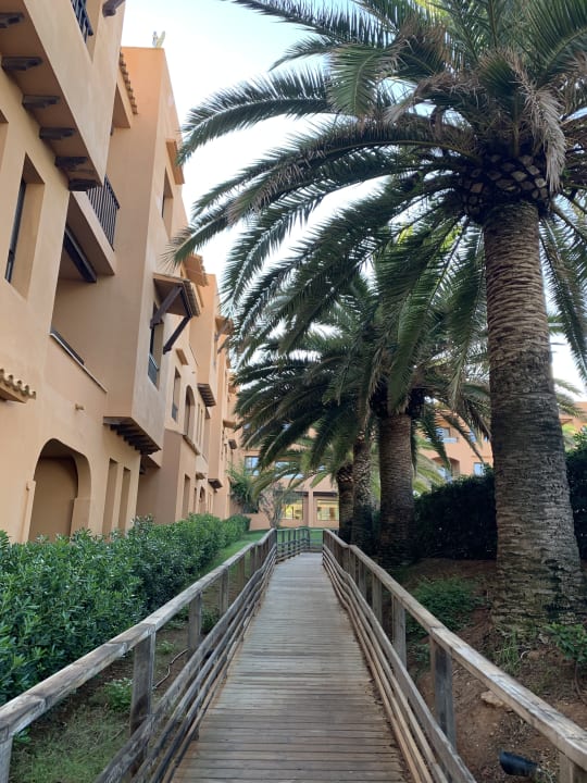 Gartenanlage Insotel Club Tarida Playa