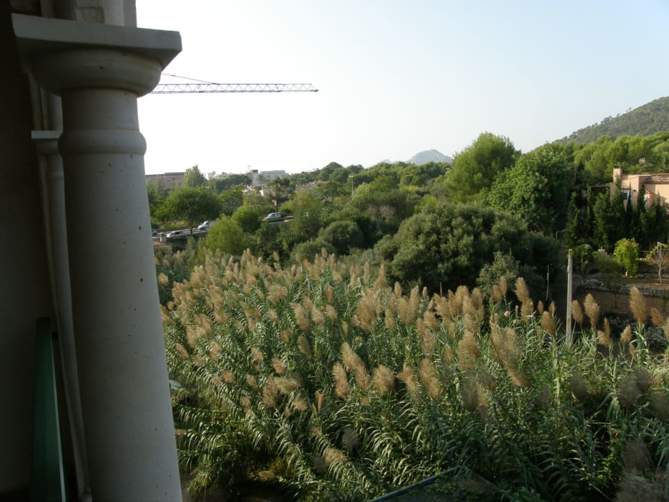 Ausblick Lago Garden