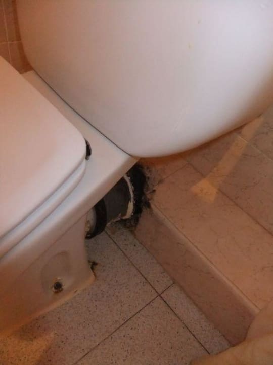 Toilette Smy Portocolom