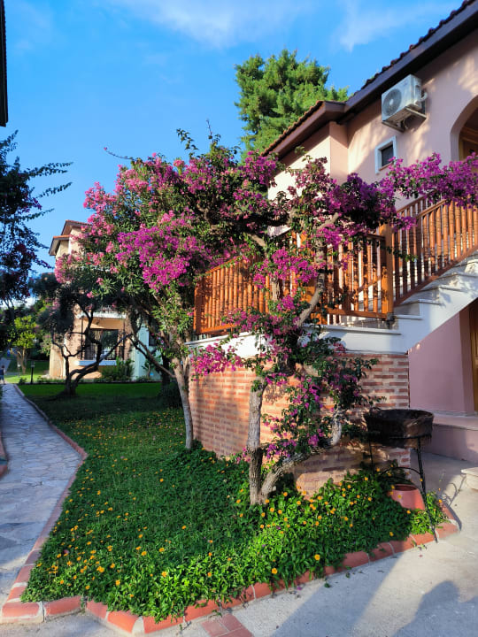 "Strand" Gypsophila Holiday Village (Okurcalar) • HolidayCheck