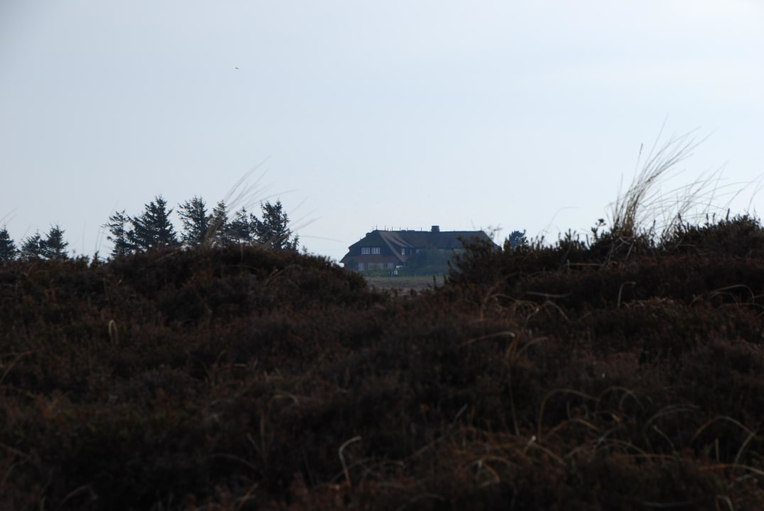 Idyllisch im Naturschutzgebiet Landhaus Severin's Morsum Kliff