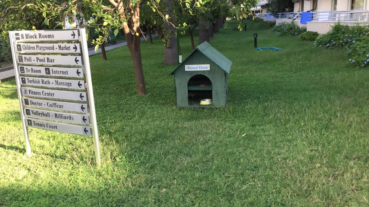 Katzen Heim Hotel Panorama