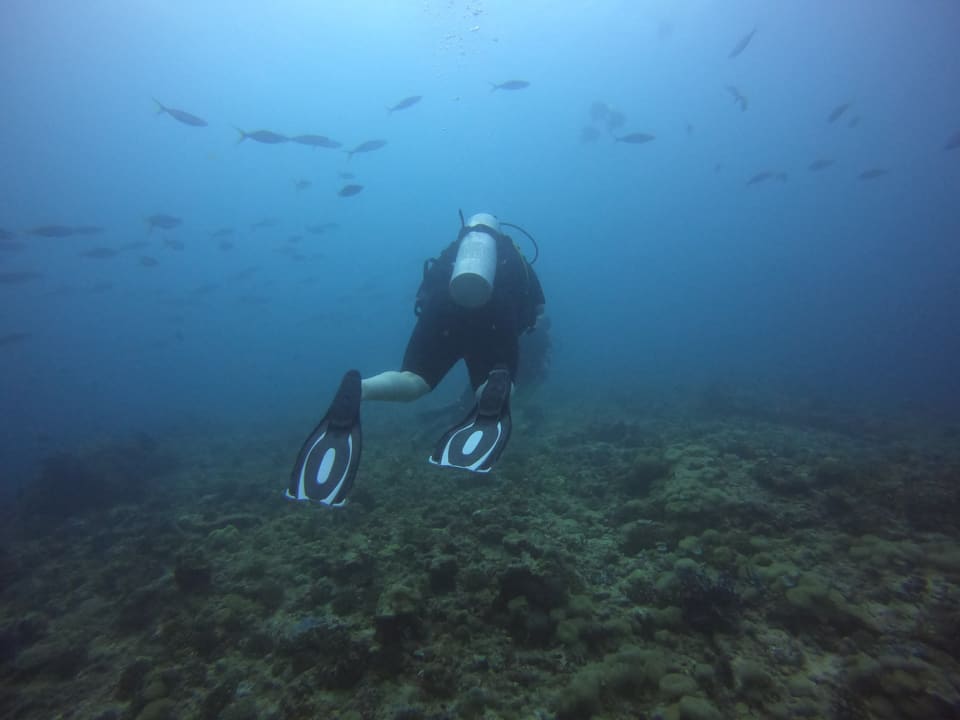 Sport & Freizeit Angaga Island Resort